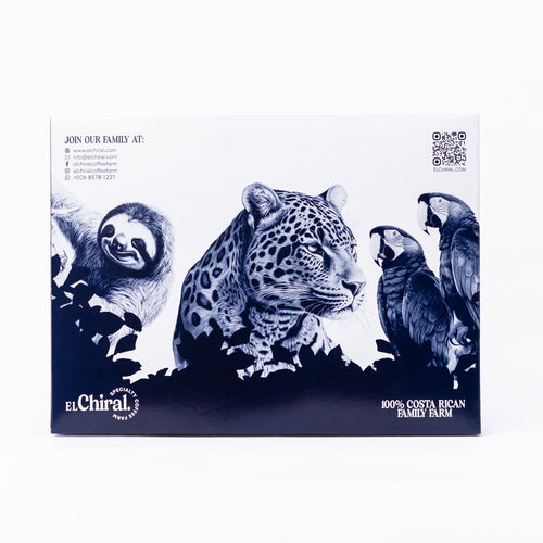 3Pack Café El Chiral Tarrazú 340g